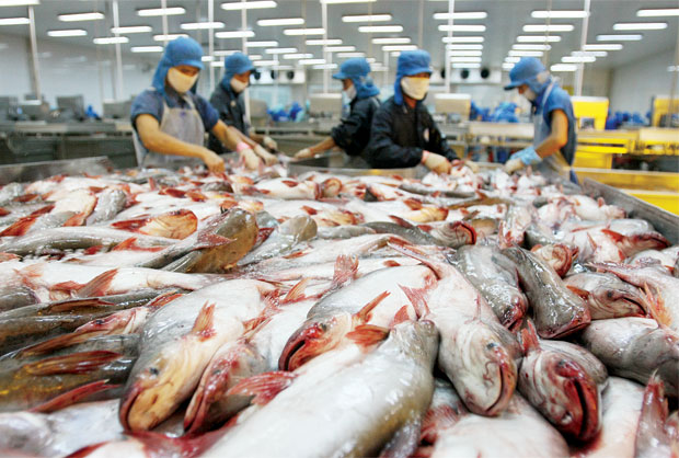 World Bank: GDP Việt Nam năm nay có thể tăng 2,5-3%