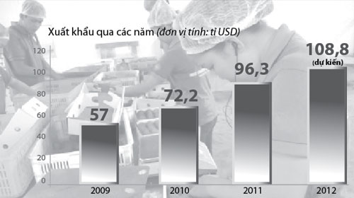 Xuất khẩu năm 2012: Cơ hội từ thị trường mới