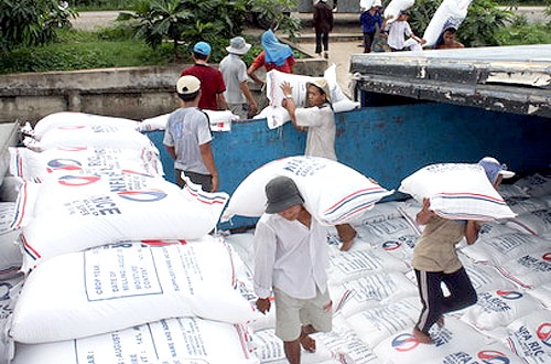 Hậu phá giá đồng NDT: Gạo Việt xuất khẩu bị ép giá