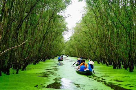 Tập đoàn Sao Mai quyết tâm đánh thức tiềm năng “thiên đường ngập nước” rừng tràm Trà Sư