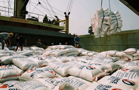 Hợp đồng xuất khẩu gạo cho 2012 giảm mạnh