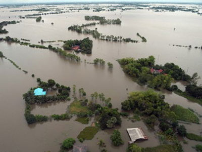 Gạo có thể tăng giá do lũ lụt ở Thái Lan 