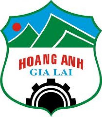 Hoang Anh Gia Lai Group