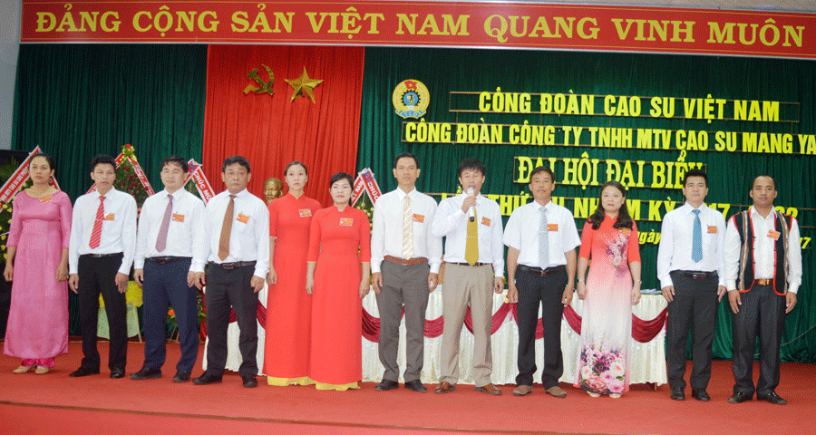 Công ty Cao Su Mang Yang: Hành trình nỗ lực hồi sinh vùng đất khó