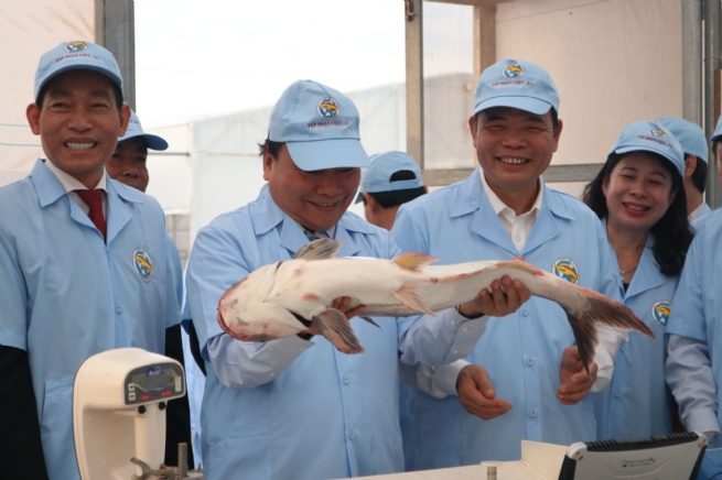 Tập đoàn Việt Úc: Nâng tầm và phát triển bền vững ngành cá tra